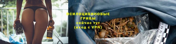 экстази Алексин