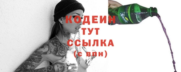 дурь Сатка